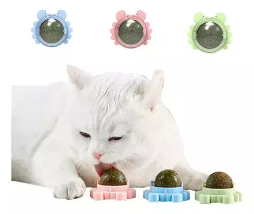 Hierbas para gato natural + Envio Gratis